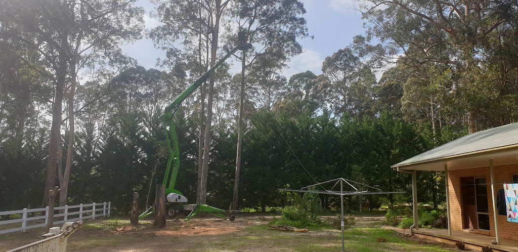 Bay and basin tree service |  | 3 Maxwell Cres, Sanctuary Point NSW 2540, Australia | 0414801730 OR +61 414 801 730