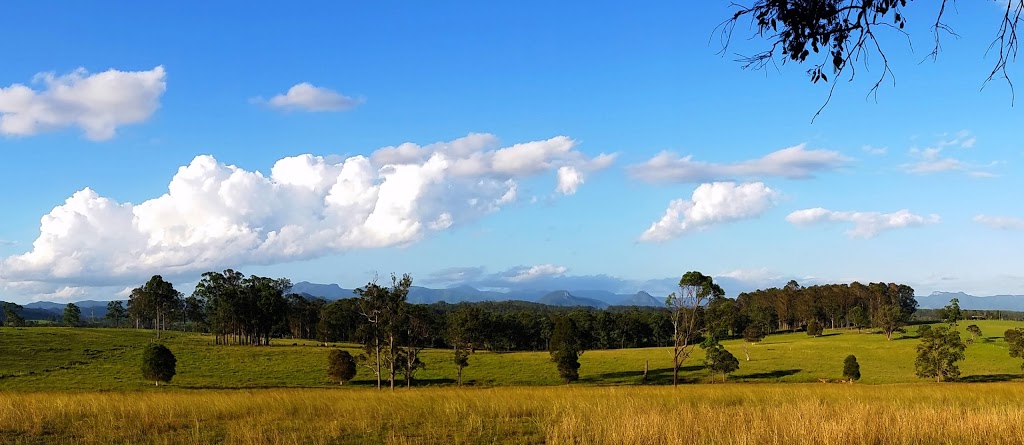 Tallowood Ridge B&B | 79 Mooral Creek Rd, Cedar Party NSW 2429, Australia | Phone: (02) 6557 0438