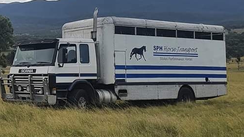 SPH Horse Transport Newcastle (Stokes Performance Horses) | 73, Medowie NSW 2318, Australia | Phone: 0429 478 736