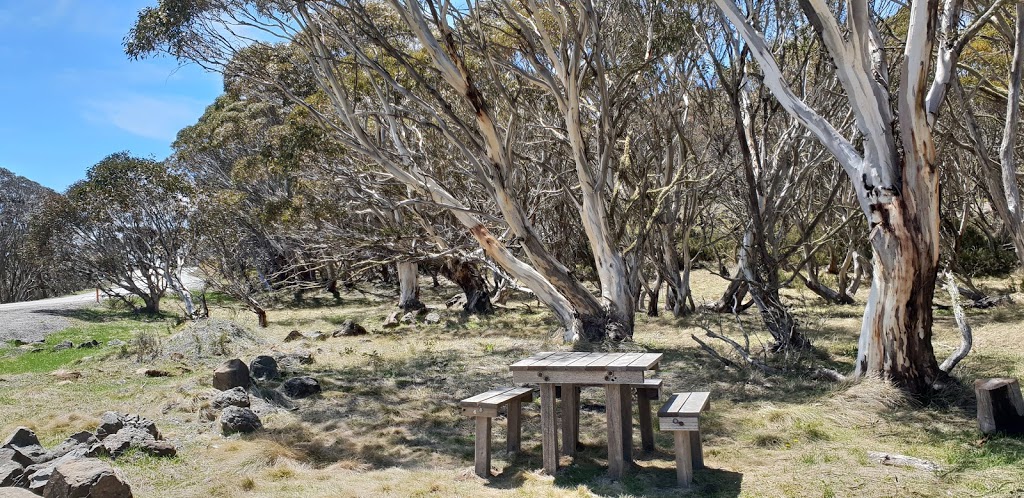 Mother Johnsons Picnic Area |  | Hotham-Dinner Plain Track, Dargo VIC 3741, Australia | 131963 OR +61 131963
