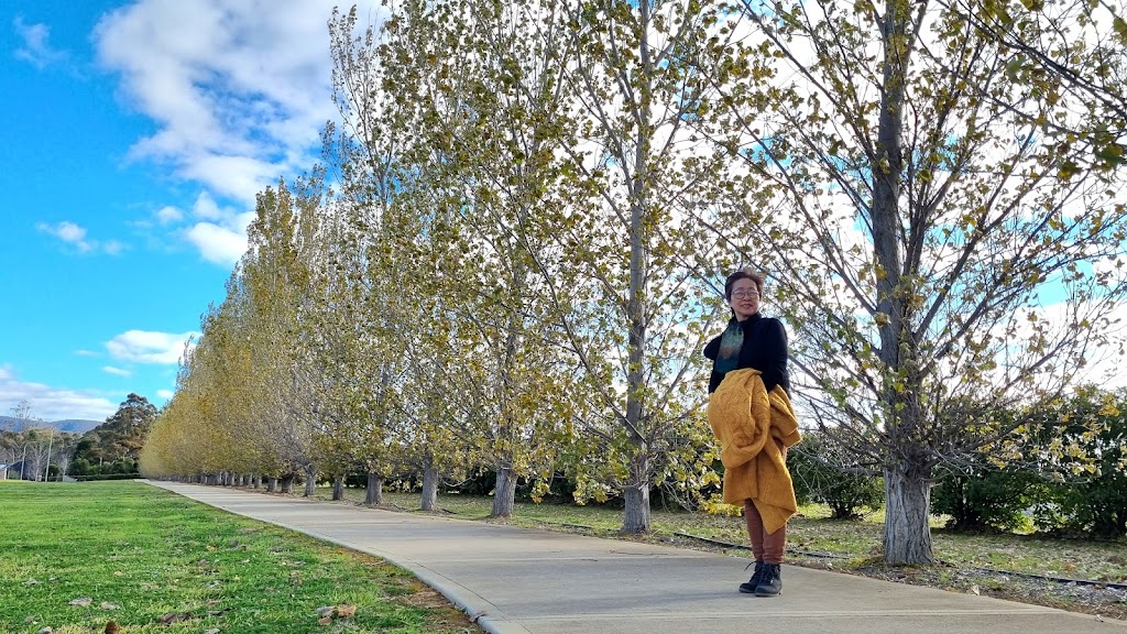 Bombira Estate | Wurth Dr, Bombira NSW 2850, Australia | Phone: (02) 6881 9364