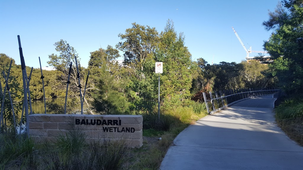 Baludarri Wetland | park | 10 Pemberton St, Parramatta NSW 2150, Australia | 0298065140 OR +61 2 9806 5140