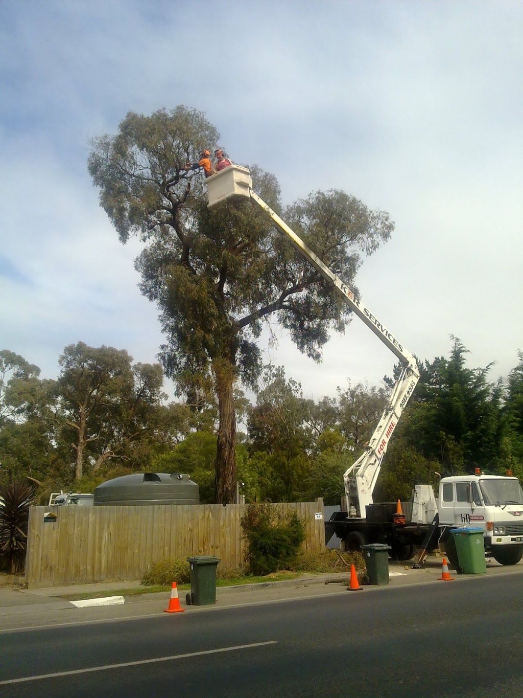 Tree Removal Service Tyabb Hastings Area | 31 The Crescent, Tyabb VIC 3913, Australia | Phone: (03) 5976 3114