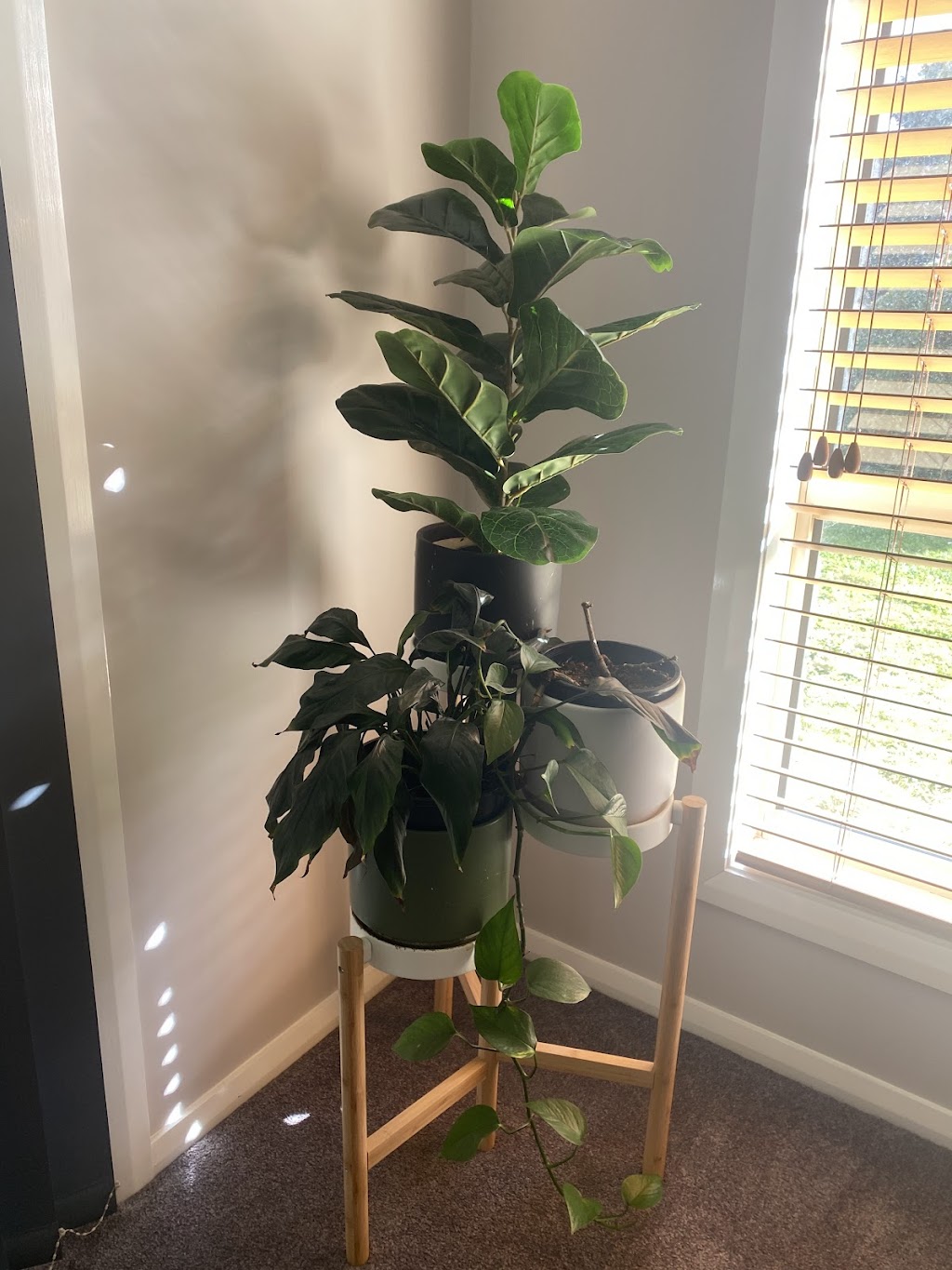 Tranquility homestay Oberon | 7 Parkes St, Oberon NSW 2787, Australia | Phone: 0401 634 609