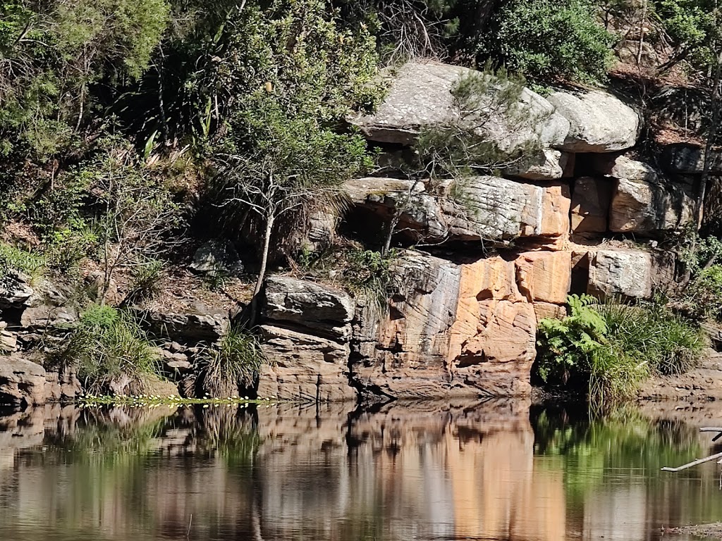 Wattle Forest | Royal National Park NSW 2233, Australia | Phone: (02) 9542 0648