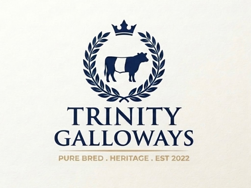 Trinity Galloways | 471 Lovedale Rd, Lovedale NSW 2325, Australia | Phone: 0475 801 430