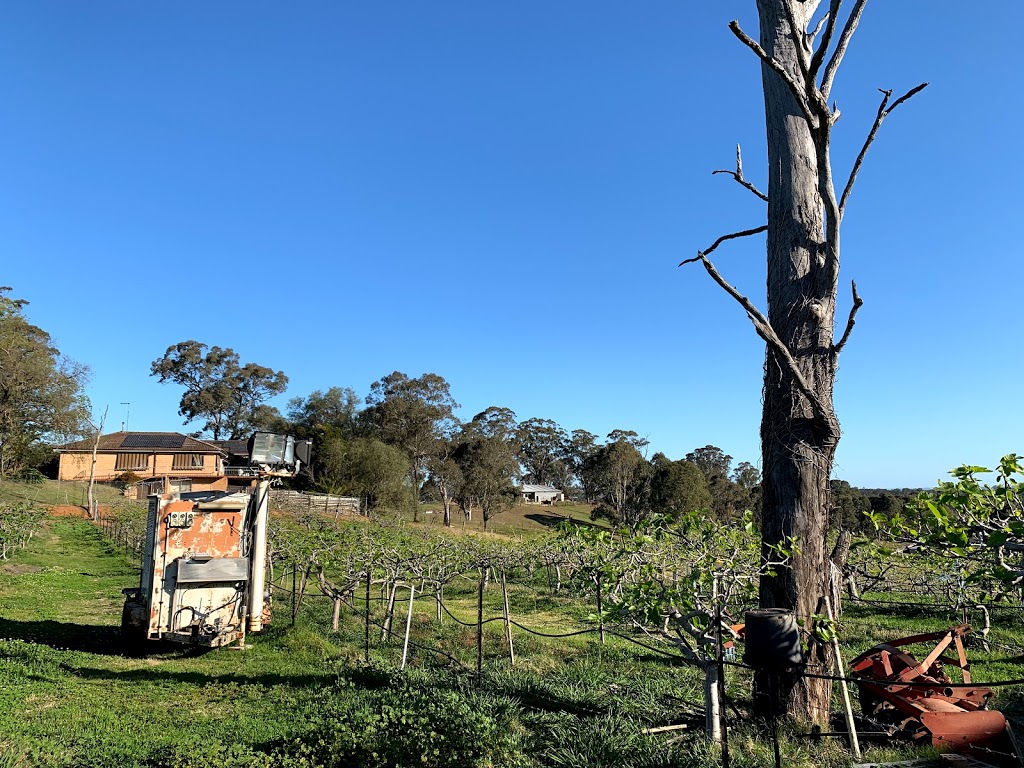 Leppington Valley Farm | 129 George Rd, Leppington NSW 2179, Australia | Phone: 0419 411 777