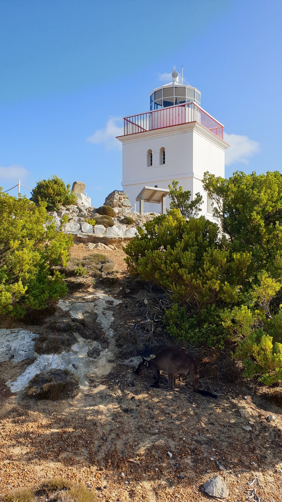 Cape Borda Lighthouse Keepers Heritage Accommodation | real estate agency | Playford Hwy, Cape Borda SA 5223, Australia | 0885534410 OR +61 8 8553 4410