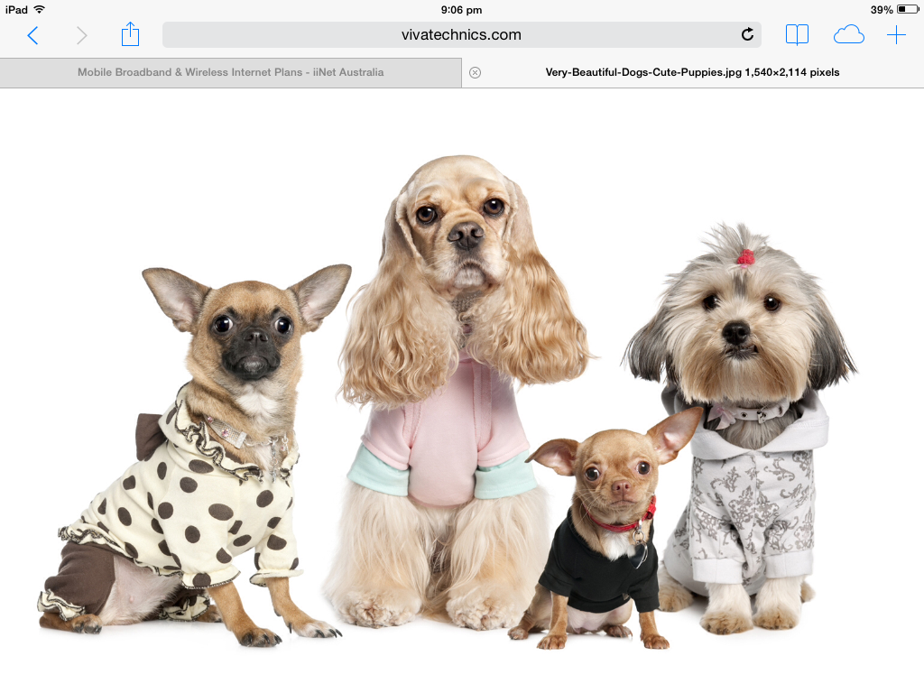 Hairy Maclairys Dog Boutique | pet store | 80 Curran St, Daguilar QLD 4514, Australia | 0421723027 OR +61 421 723 027