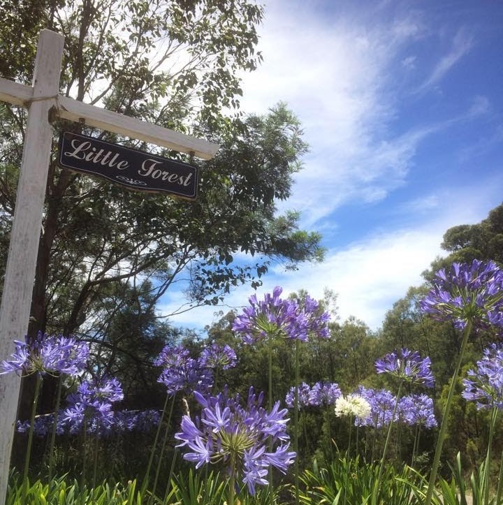 Little Forest Country Cottages | 800 Old Hume Hwy, Alpine NSW 2575, Australia | Phone: (02) 4862 5200