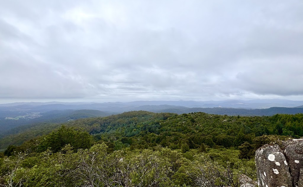 Up Down Around MTB | 30 Main St, Derby TAS 7264, Australia | Phone: 0487 379 643