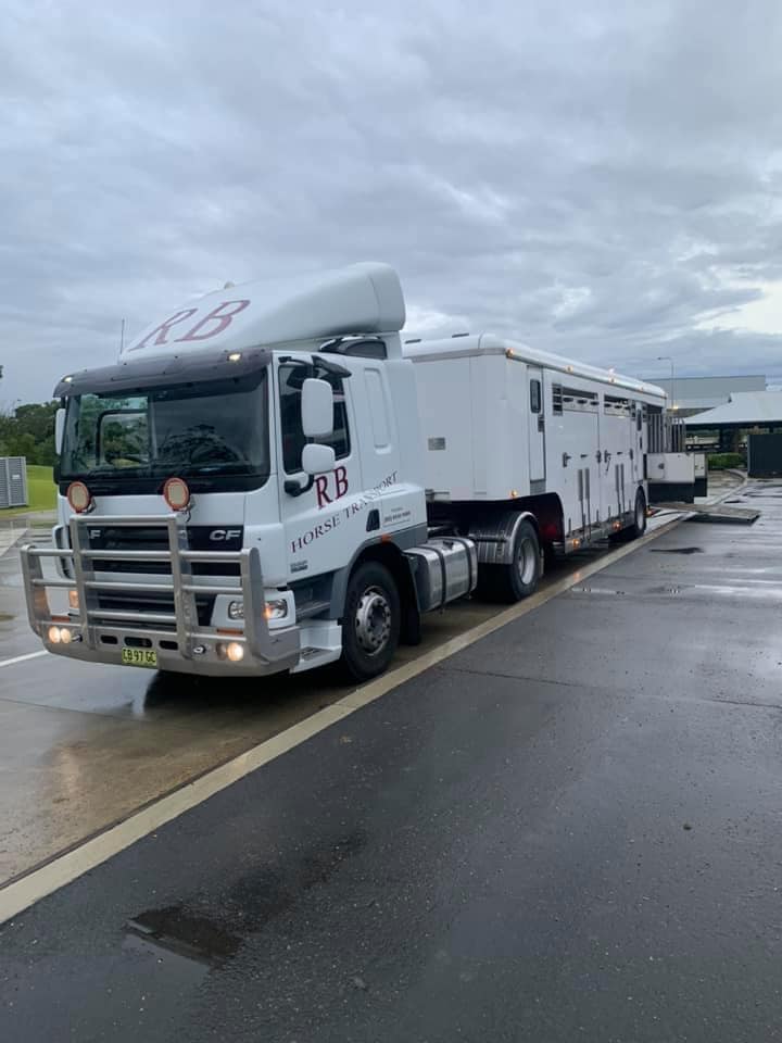RB Horse Transport | local government office | 76 Allan Cunningham Rd, Scone NSW 2337, Australia | 0265459680 OR +61 2 6545 9680