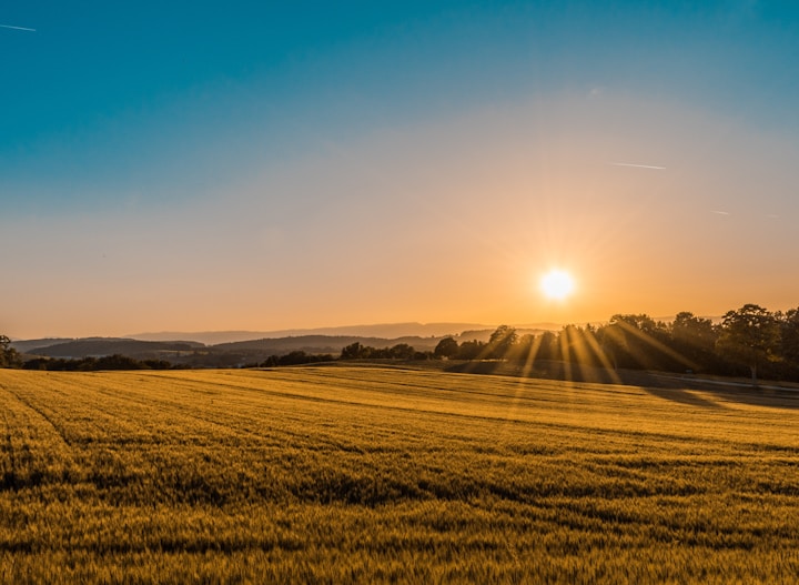 Ashton Hall Farm Agri Business Australia | 139 Hensler Rd, Goondiwindi QLD 4390, Australia | Phone: (07) 5661 9088