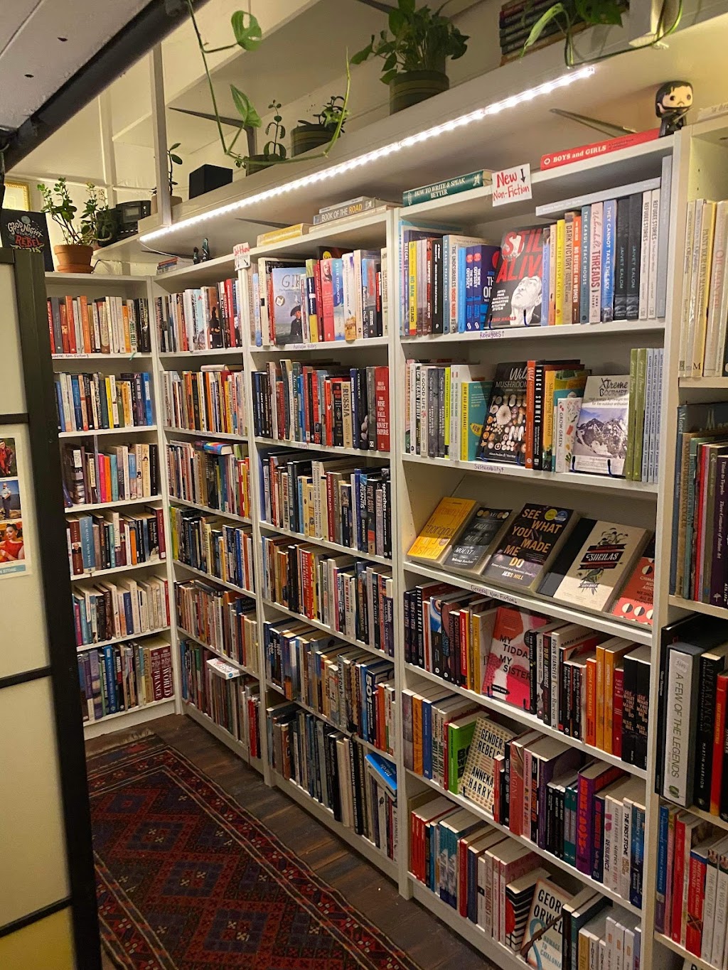 RoseyRavelston Books | 1 Badgery Cres, Lawson NSW 2783, Australia | Phone: 0493 834 781