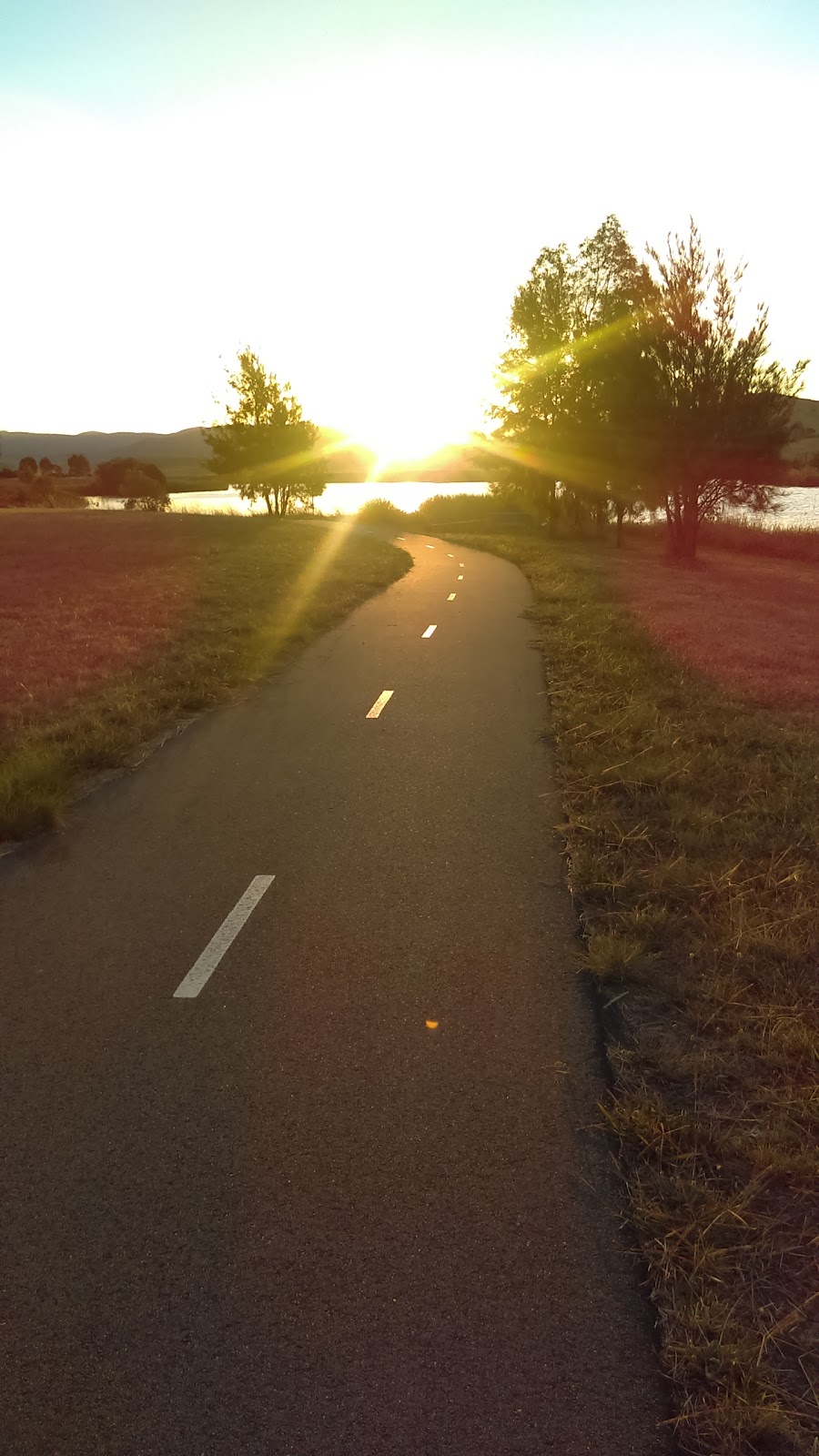 West Belconnen Pond | park | Dunlop ACT 2615, Australia