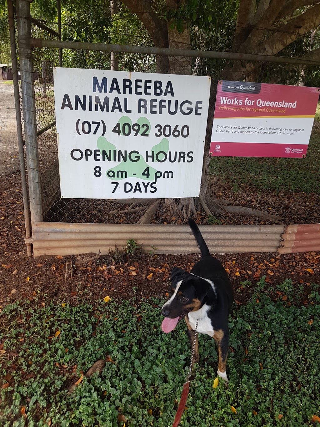 Mareeba Animal Refuge | 35 Hickling Ave, Mareeba QLD 4880, Australia | Phone: (07) 4092 3060