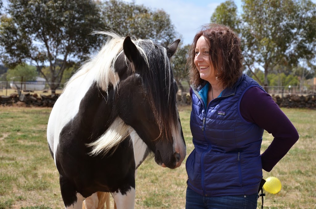 Reeba Equine Assisted Therapy (REAT) | 450 Wildwood Rd, Wildwood VIC 3335, Australia | Phone: 0425 454 824