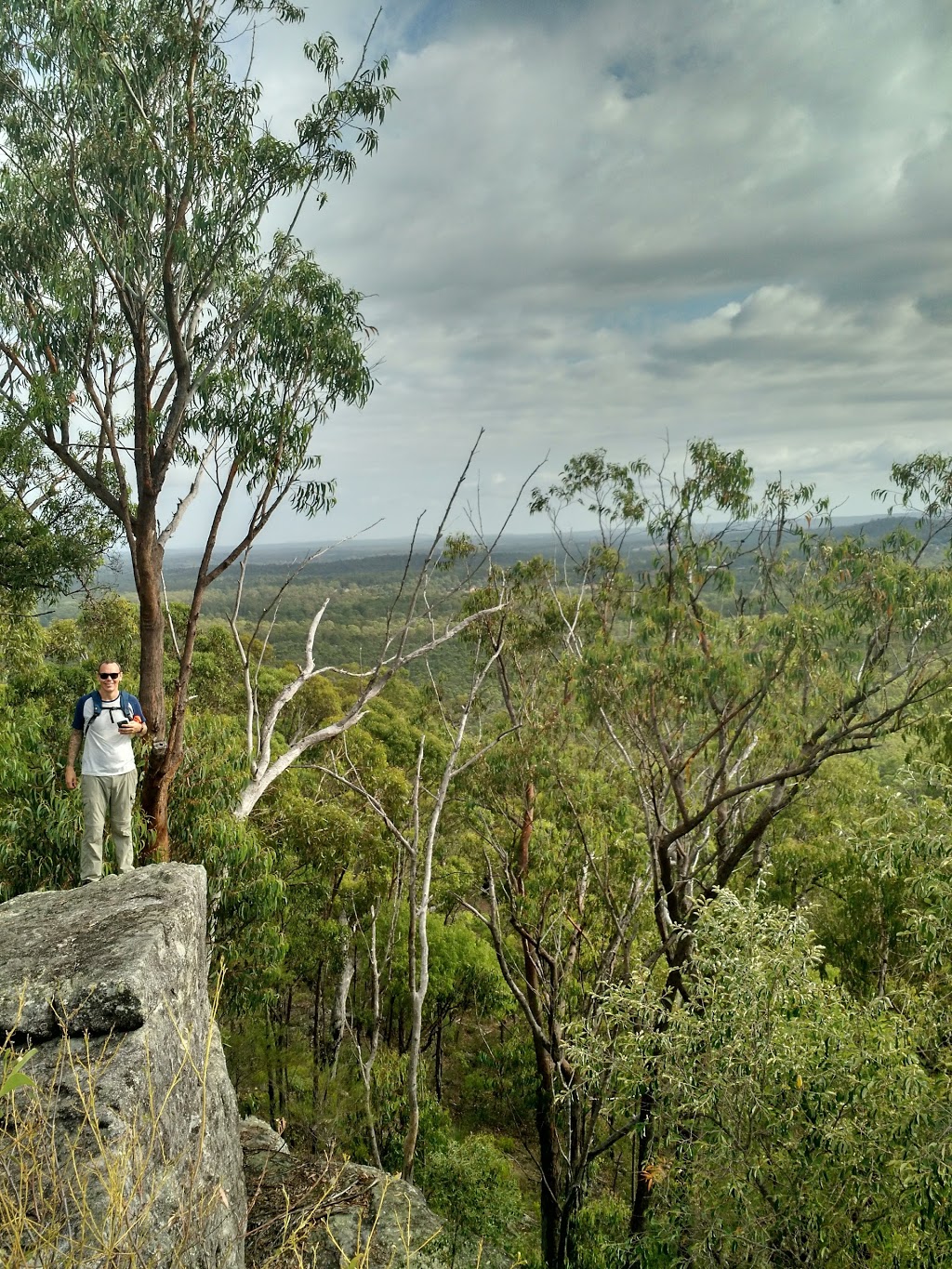 Wickham Peak Lookout | park | Cedar Creek QLD 4207, Australia