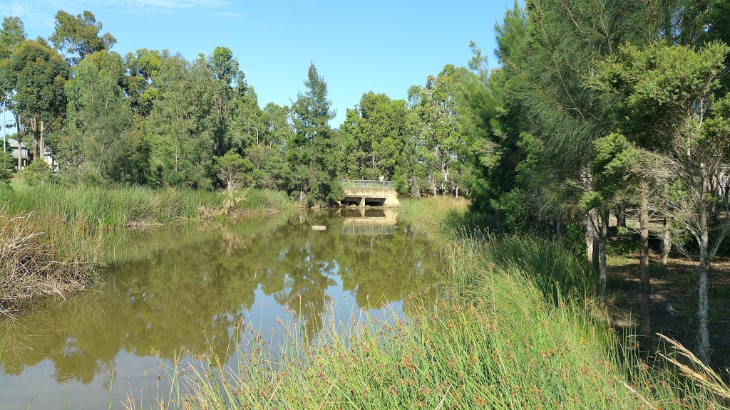 Kingfisher Park | park | 42 Spinebill Pl, Cranebrook NSW 2749, Australia