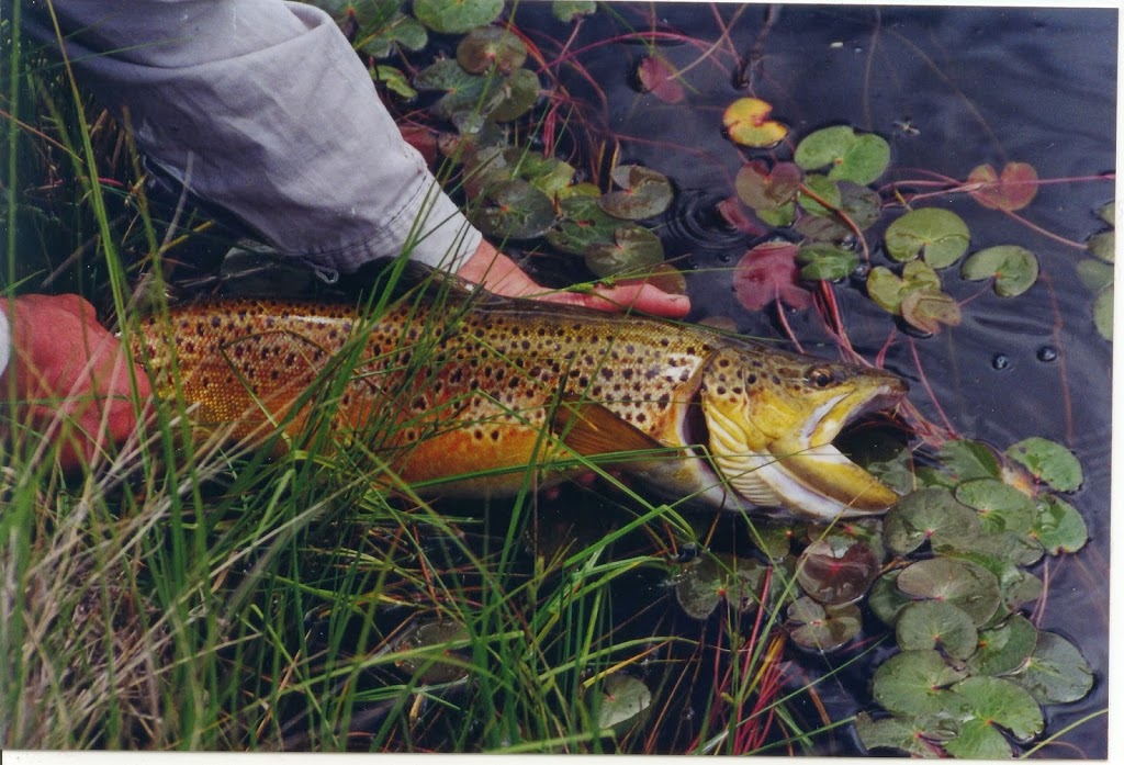 Monaro Fly Fishing Lodging and Guiding Service |  | 158 Jarake Rd, Greenlands NSW 2631, Australia | 0407518380 OR +61 407 518 380