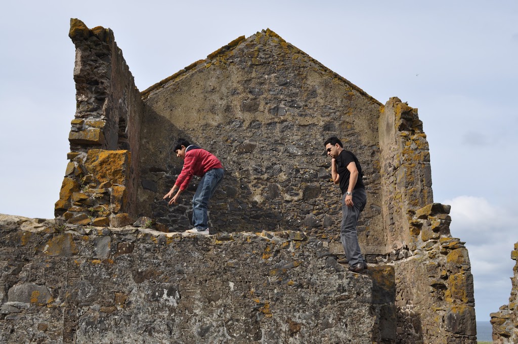 Highfield Historic Site | 143 Green Hills Rd, Stanley TAS 7331, Australia