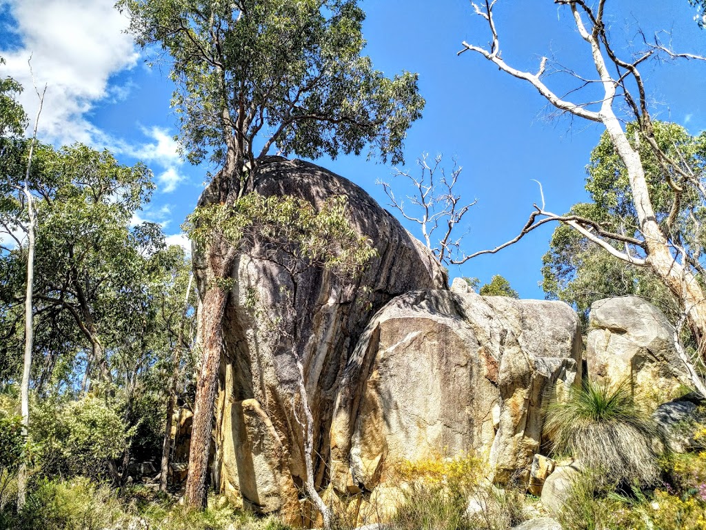 Kalamunda National Park | park | Schipp Rd, Piesse Brook WA 6076, Australia | 0892906100 OR +61 8 9290 6100