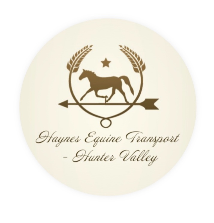 Haynes Equine Transport - Hunter Valley | 13 Rifle St, Clarence Town NSW 2321, Australia | Phone: 0447 818 922