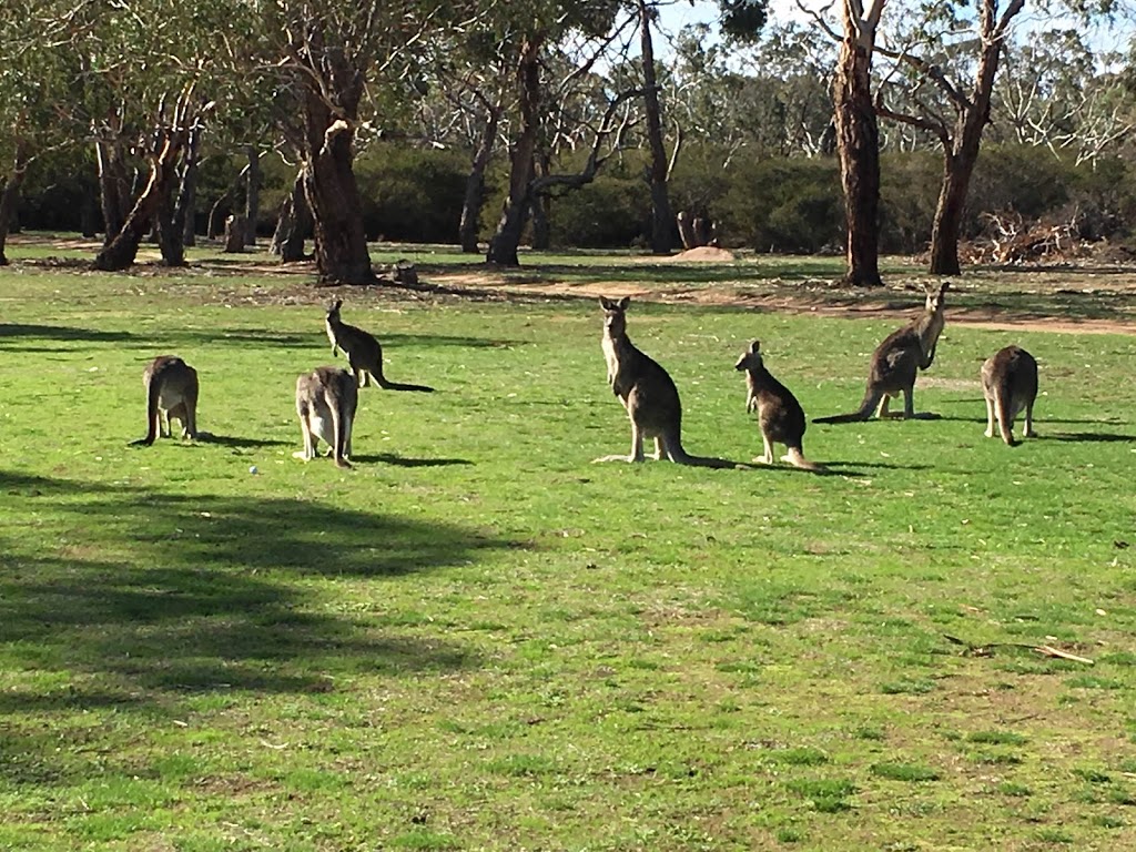 Inverleigh Golf Club | 244 Common Rd, Inverleigh VIC 3321, Australia | Phone: 0409 106 559