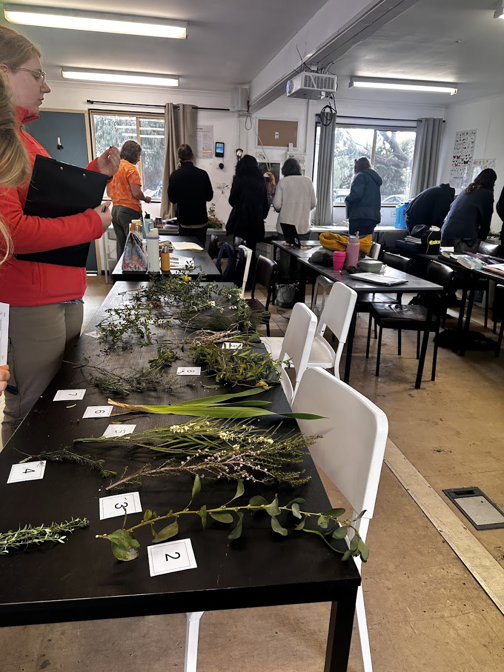 Ecoskills | 52 Western Port Hwy, Somerville VIC 3912, Australia | Phone: 0436 969 883