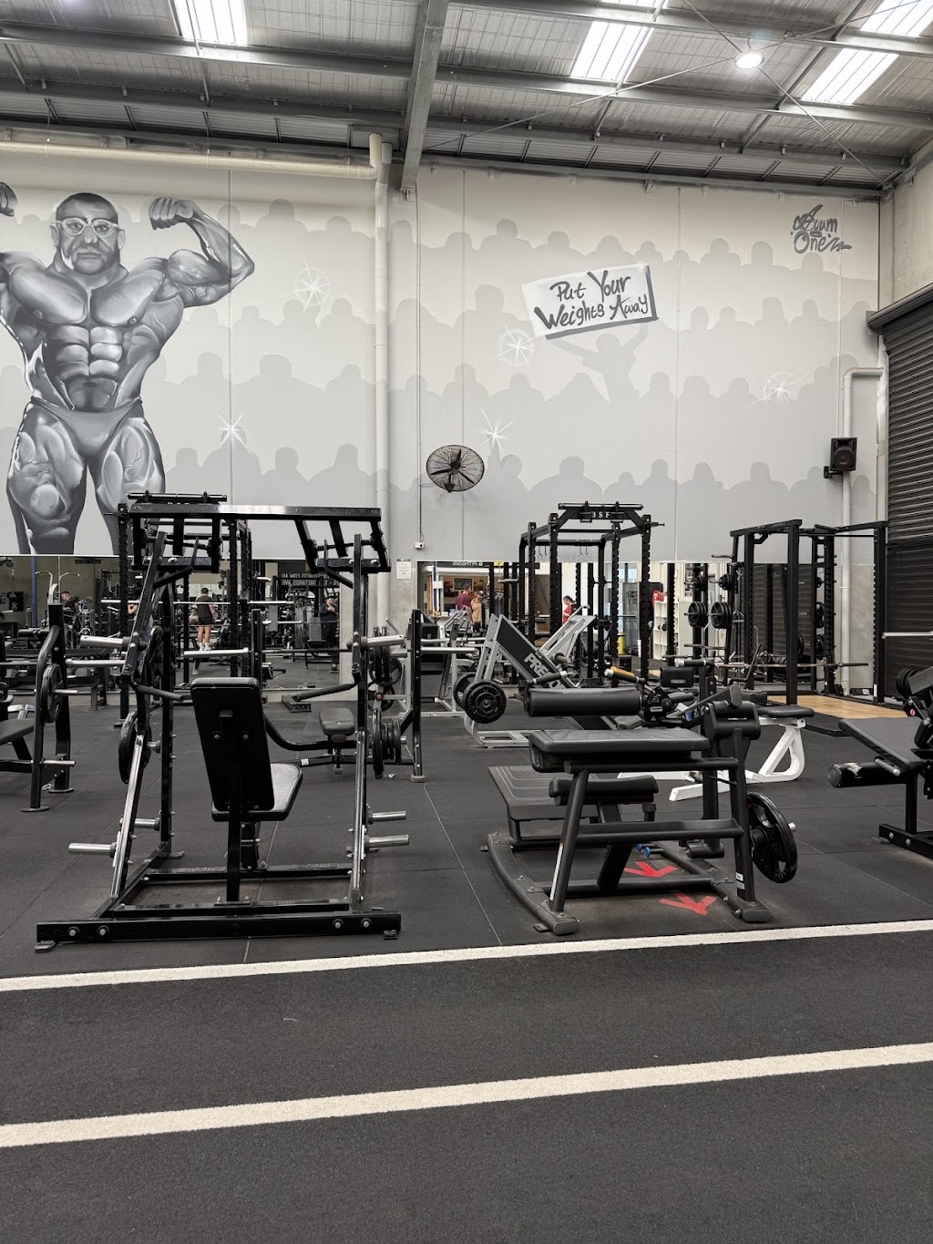 Pro-Active Torquay | 22 Cylinders Dr, Torquay VIC 3228, Australia | Phone: 1300 890 507