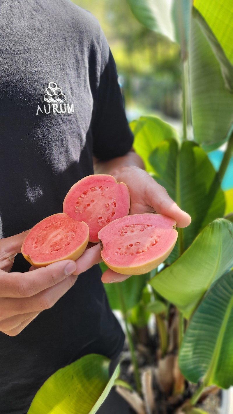 AURUM PREMIUM MODERN HONEY WINES | 13-15 Old Pacific Hwy, Newrybar NSW 2481, Australia | Phone: 0468 339 538