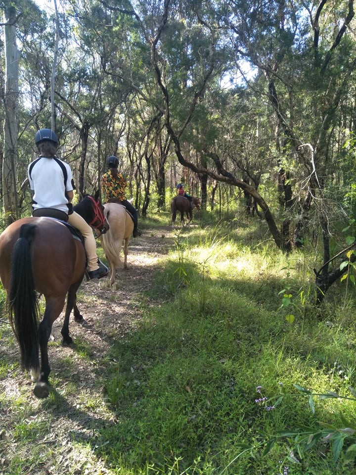 Sowter Equestrian | 15165 Pacific Hwy, Possum Brush NSW 2430, Australia | Phone: 0411 796 943