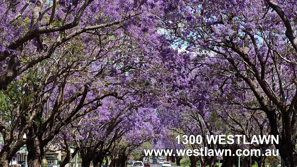 Westlawn Finance & Insurance | 26 Yamba St, Yamba NSW 2464, Australia | Phone: (02) 6603 3600