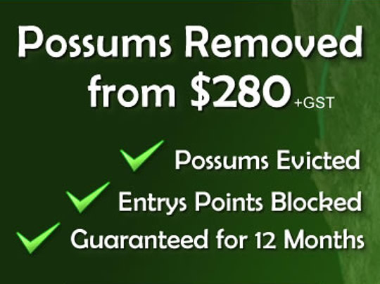 Possum Catchers | home goods store | Level 1/60 Doncaster Rd, Balwyn North VIC 3104, Australia | 0388409572 OR +61 3 8840 9572
