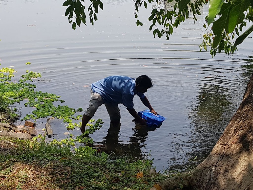 Sure Aqua Corporation | 26 Cecil St, Denistone East NSW 2112, Australia | Phone: 0438 687 875 Sure Aqua Corporation | 26 Cecil St, Denistone East NSW 2112, Australia | Phone: 0438 687 875