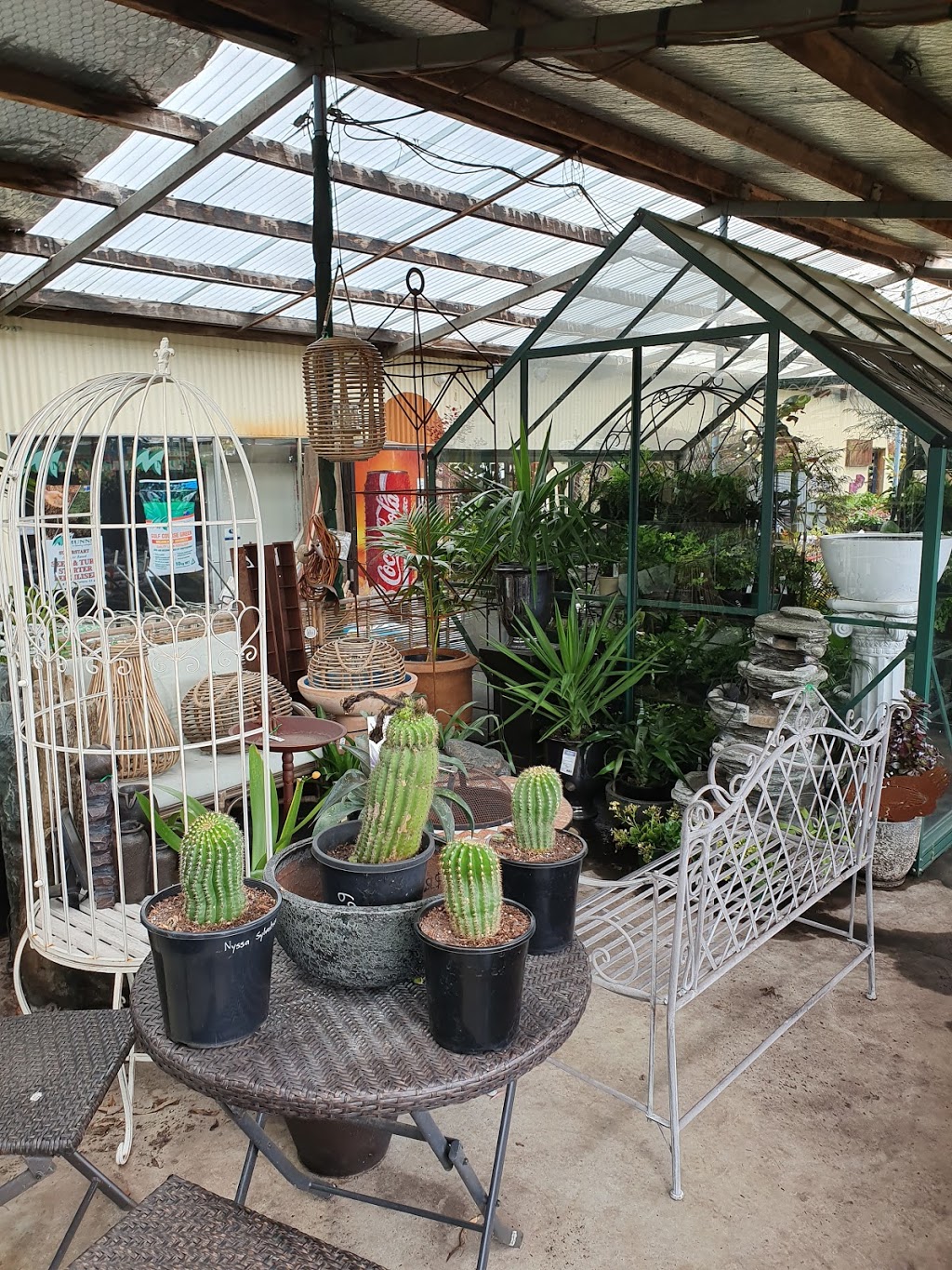 Allans Garden Centre | store | 285 Westbury Rd, Launceston TAS 7250, Australia | 0363446257 OR +61 3 6344 6257