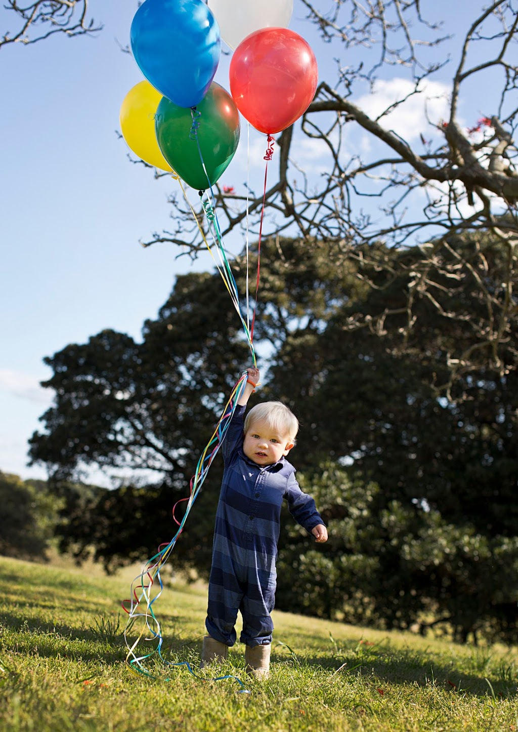 Gretchen Hambly Photography |  | 8 Sandy Flat Rd, Tintenbar NSW 2478, Australia | 0487389687 OR +61 487 389 687