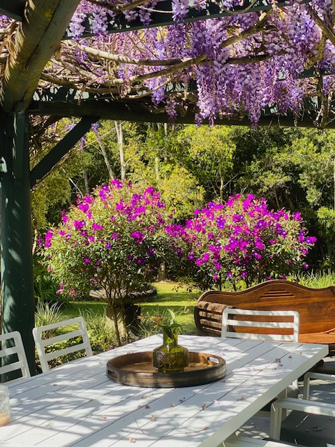 BAHCHE | 151 Commissioners Flat Rd, Peachester QLD 4519, Australia | Phone: 0409 177 730