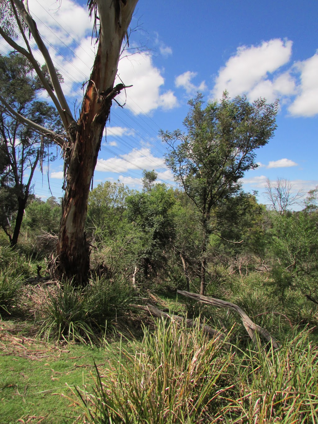 Churchill National Park | Lysterfield South VIC 3156, Australia | Phone: 13 19 63