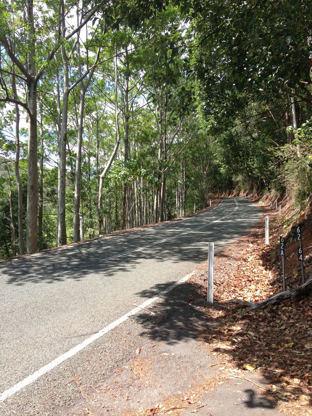 Nicoll Scrub National Park | park | 745 Tomewin Mountain Rd, Currumbin Valley QLD 4223, Australia