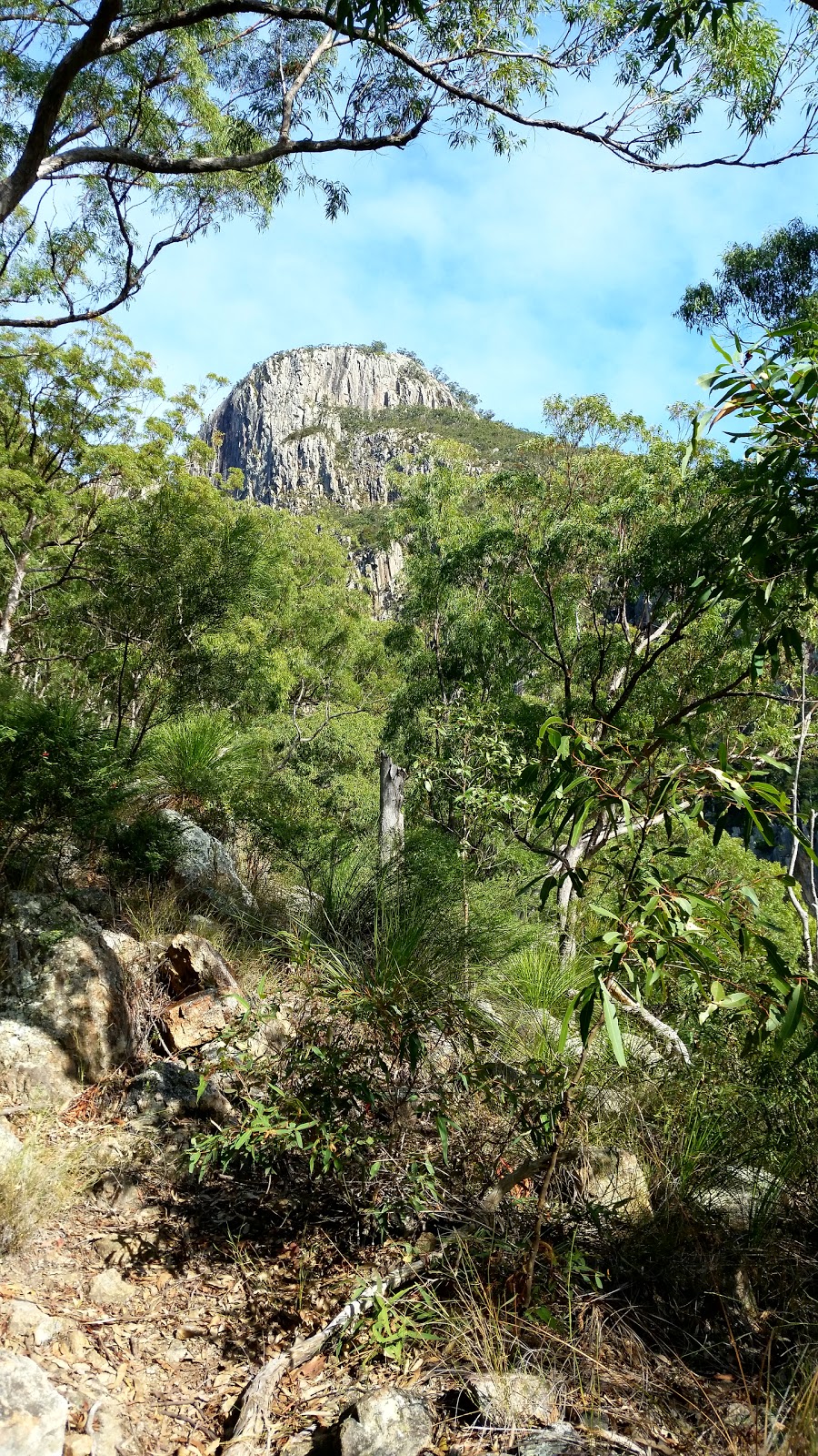 Cotswold Track - Mount Maroon Hike | park | Cotswold Rd, Maroon QLD 4310, Australia