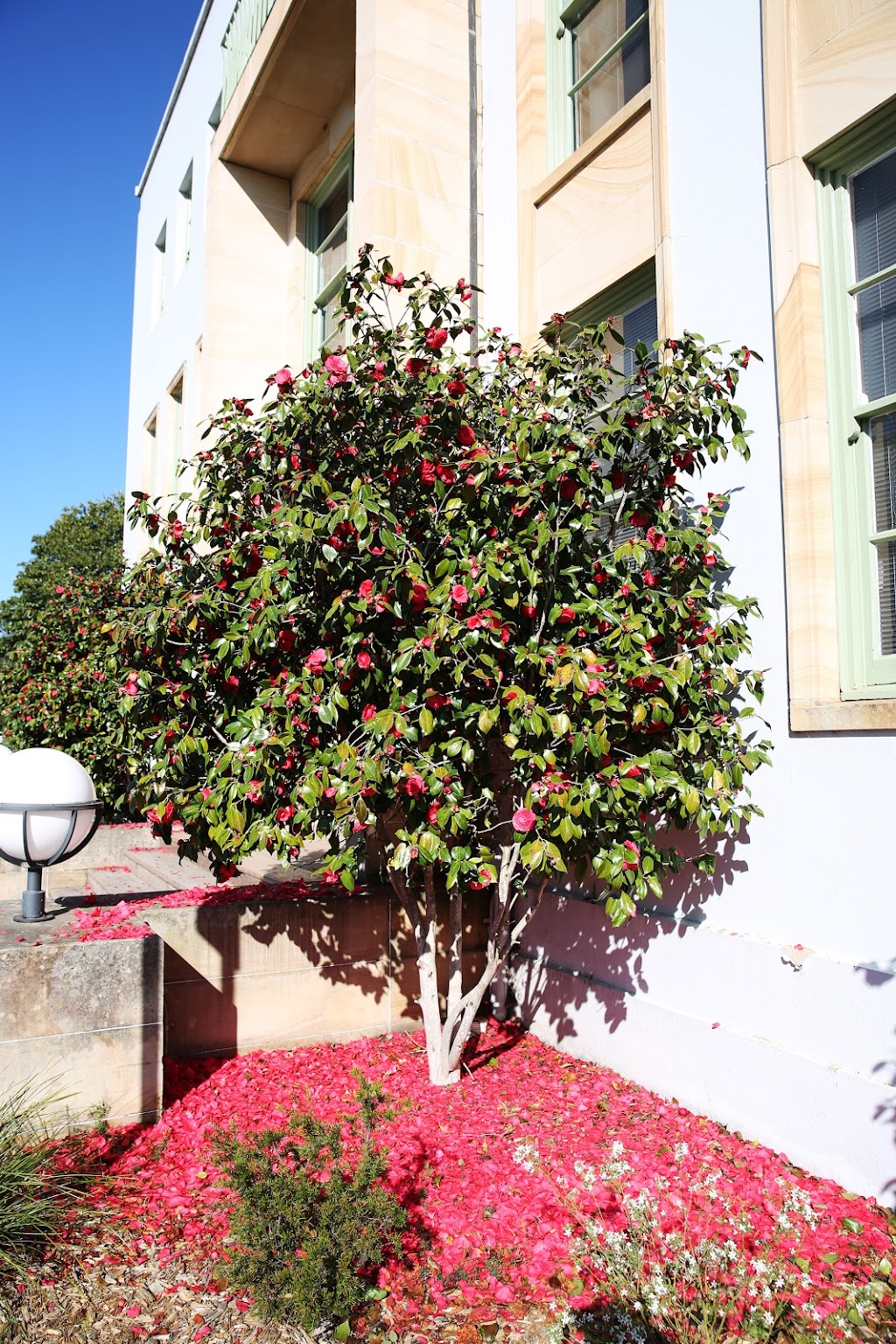 CSIRO - Black Mountain Site | Building 101, Clunies Ross St, Black Mountain ACT 2601, Australia | Phone: (02) 6246 4001