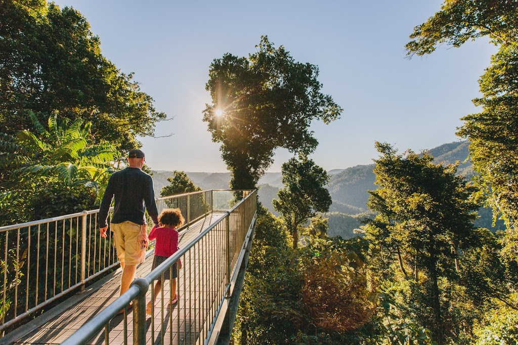 Mamu Tropical Skywalk | Palmerston Hwy, Innisfail QLD 4860, Australia | Phone: (07) 4064 5294