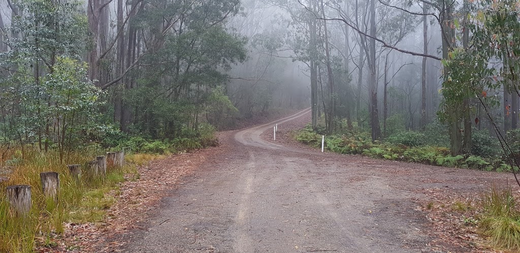 Youngville campground | Mount Royal Road, Mount Royal NSW 2330, Australia | Phone: (02) 6574 5555