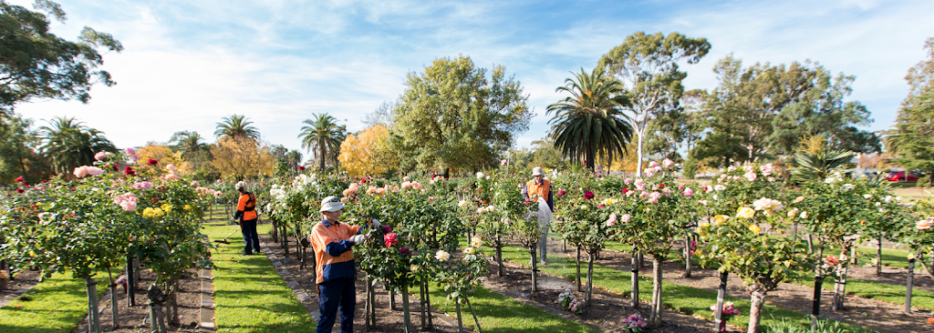 The Greater Metropolitan Cemeteries Trust | 1187 Sydney Rd, Fawkner VIC 3060, Australia | Phone: (03) 9355 3100