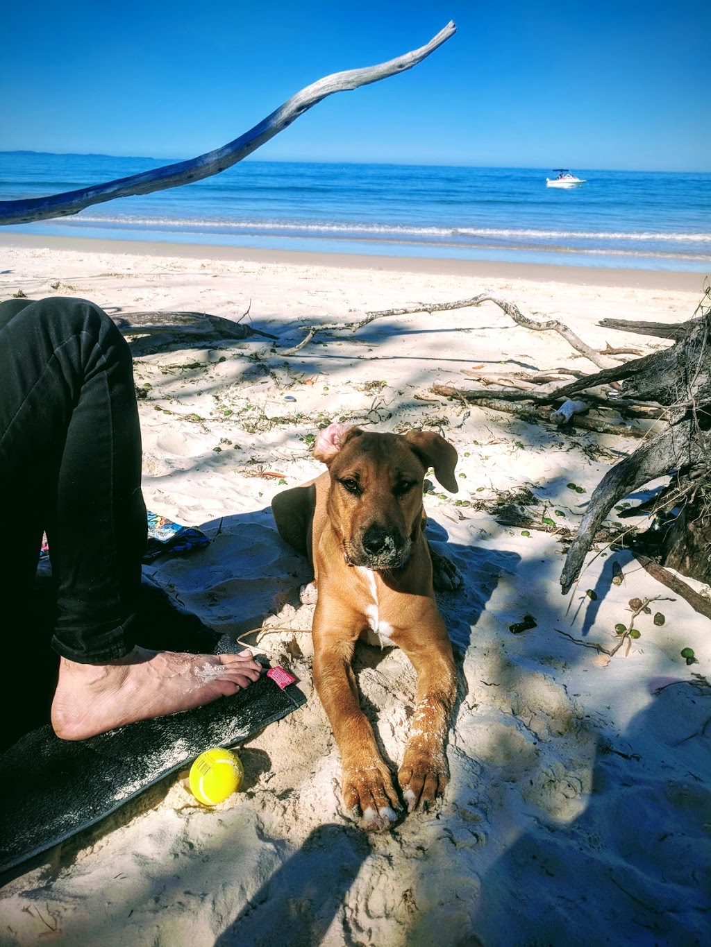 Red Beach | park | Bongaree QLD 4507, Australia