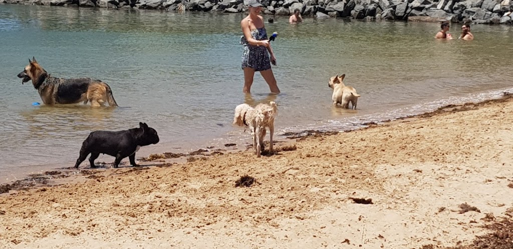 Raby Bay Foreshore Dog Off Leash Beach | park | Cleveland QLD 4163, Australia