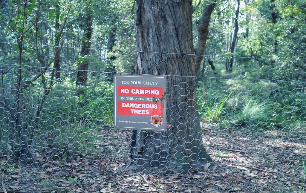 Meroo Head campground | Meroo Lookout Walking Track, Termeil NSW 2539, Australia | Phone: (02) 4454 9500