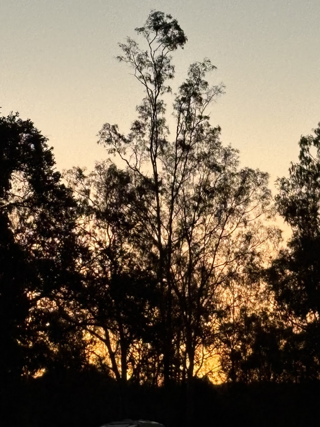 Rocky Creek Homestead | 12 Brookside Pl, Postmans Ridge QLD 4352, Australia | Phone: 0450 661 476