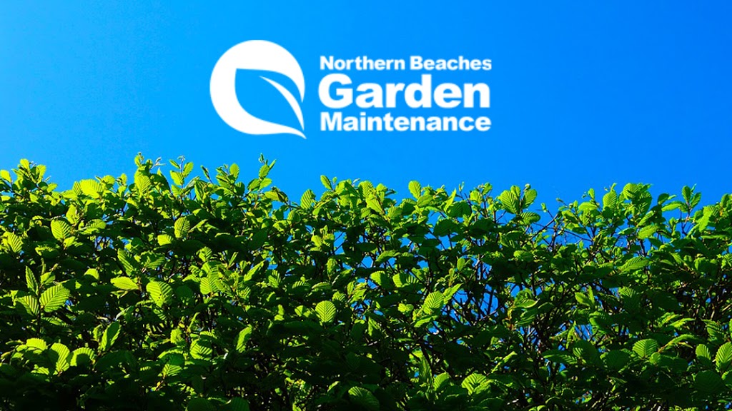 Northern Beaches Garden Maintenance | general contractor | 2 Melody Ln, Collaroy NSW 2097, Australia | 0284888012 OR +61 2 8488 8012